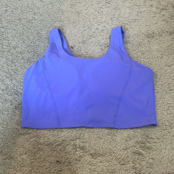 Buffbunny Collection Tops - BuffBunny Crystal Crop